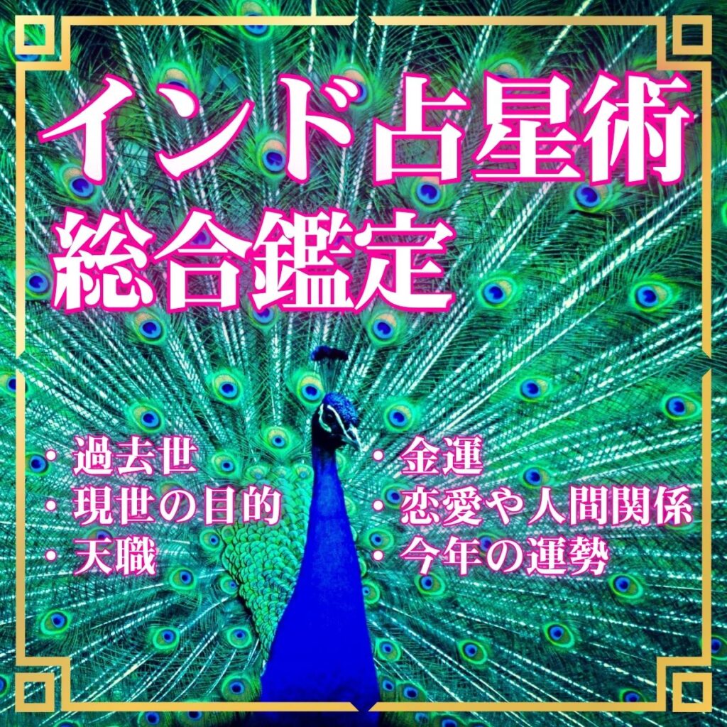 南インド式占星術で総合鑑定+ご相談1件【PDF鑑定書30枚付き】¥12,000 税込